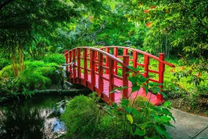 Miami-Beach-Botanical-Garden