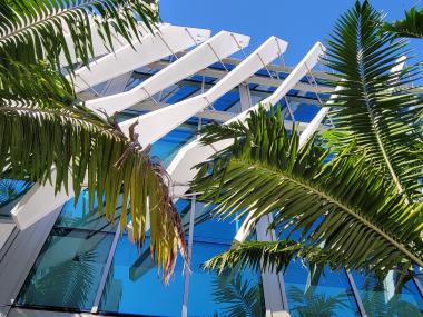 mbcc-palm-trees.jpg MBCC with palm trees