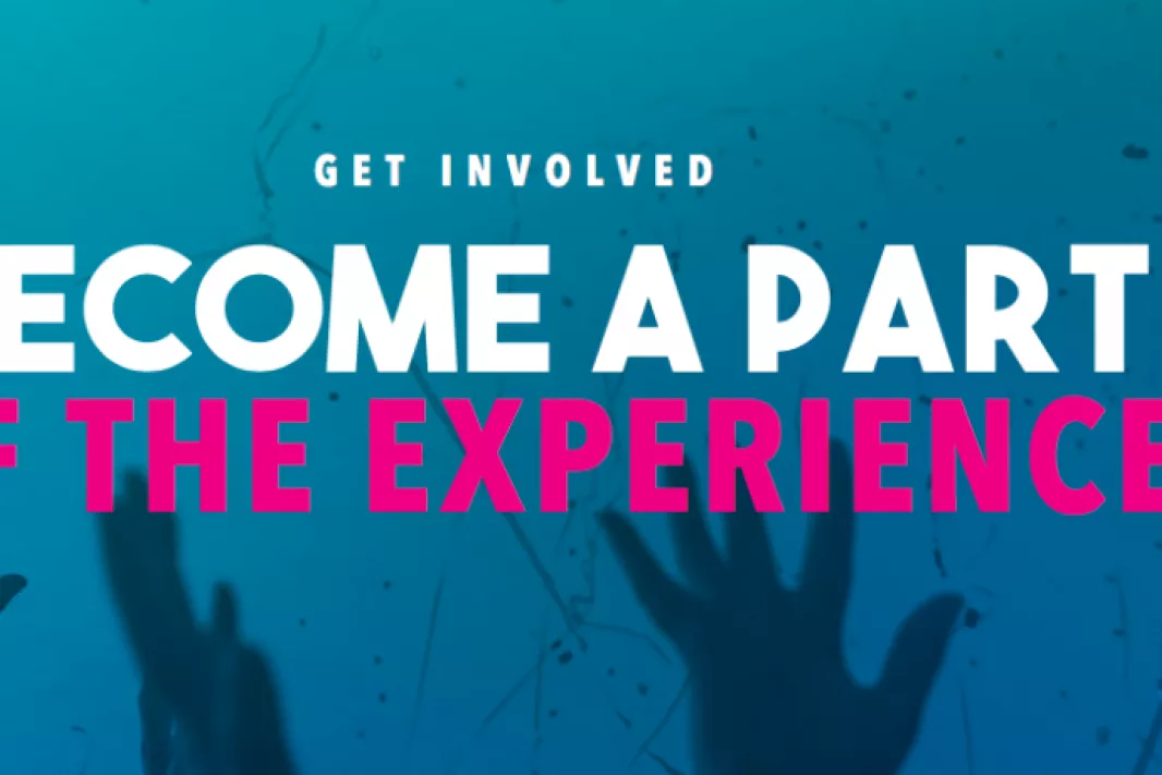 Become a Part of the Experience